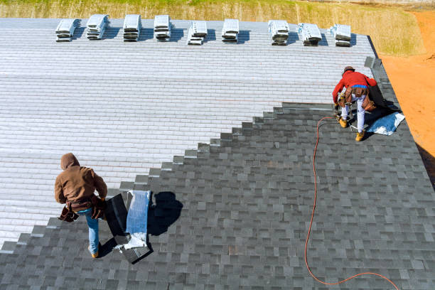 Best Roof Maintenance Services  in Griggsvle, IL