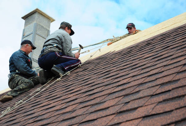 Best Roof Replacement Cost  in Griggsvle, IL
