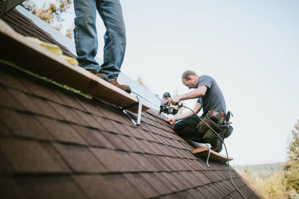 Best Roof Maintenance Services  in Griggsvle, IL